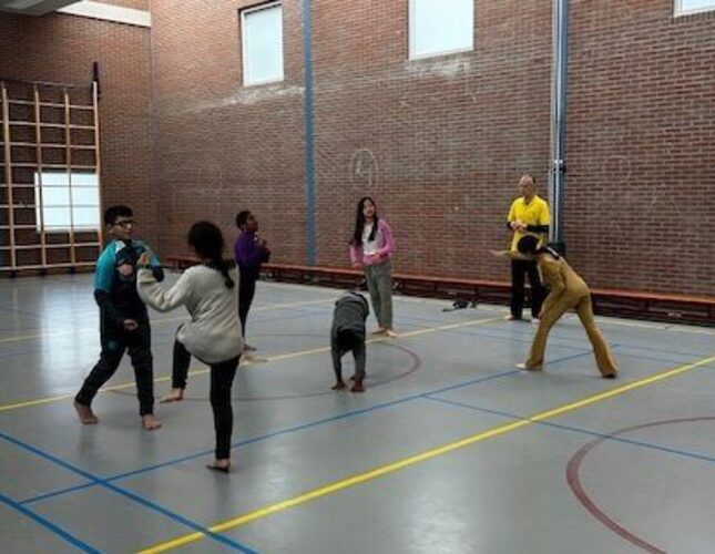 05-partnerschappen-taekwondo