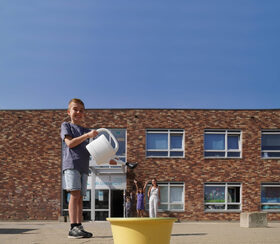 Afbeelding Oostwijzer Cygnus - meer lucht