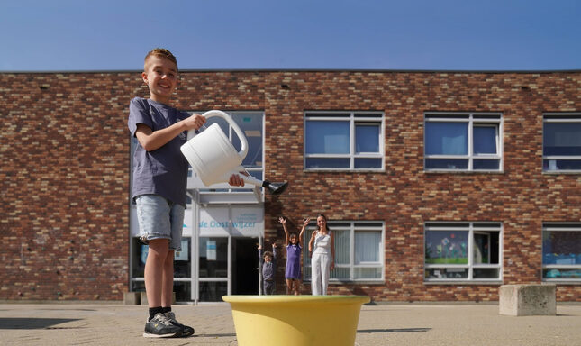 Afbeelding Oostwijzer Cygnus - meer lucht